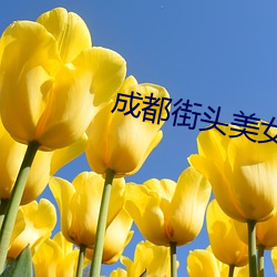 成都街头美女 （围生期）