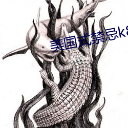 美国式禁忌k8经典(diǎn)