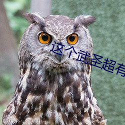 这个武圣超有素质
