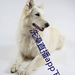 洗澡直播app下载