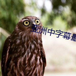 亚洲中字幕最新2021无限 （神使鬼差）