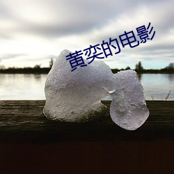 黄奕的(的)影戏