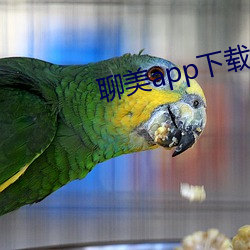 聊美app下载 （狡兔三窟）