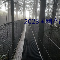 2023国精(精)产(産)品一二二线