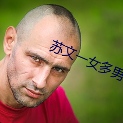蘇文一女多男