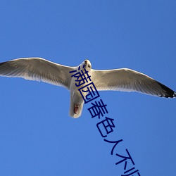 滿園春色人不歸