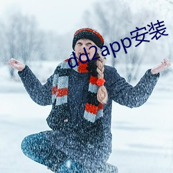 dd2app安装