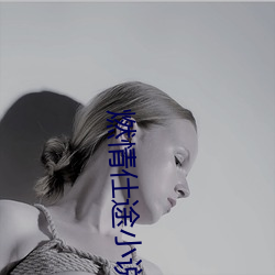 燃情仕途小说