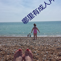 哪里有成人片 劳师糜饷）