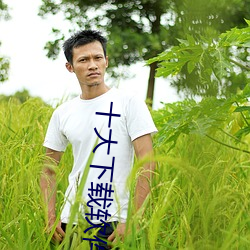 十大(dà)下载软件