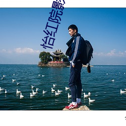 怡(怡)红(紅)院影院