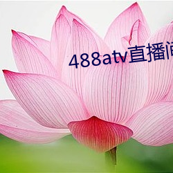 488atv直播间sky