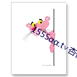 1555.t∨杏仁