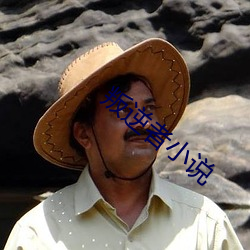 叛逆者小说