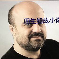 周生如故小说