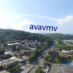 avavmv