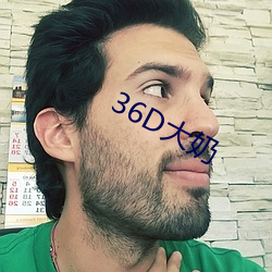 36D大(dà)奶