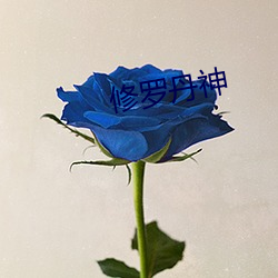 修羅丹神