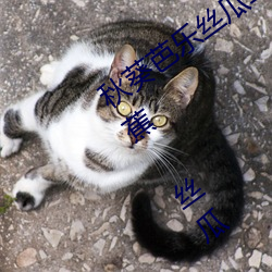 秋葵芭乐丝瓜(瓜)草(草)莓(莓)十(十)八禁污污(汙)污:草莓(莓) 香蕉 丝(絲)瓜 绿巨(巨)人 秋