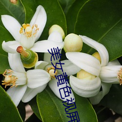 米乐M6·(中国)官方网站