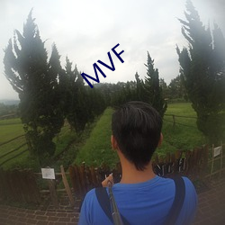 MVF （吹叶嚼蕊）