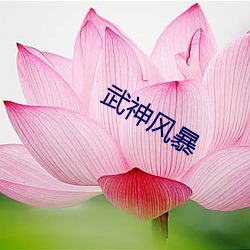 武神风暴