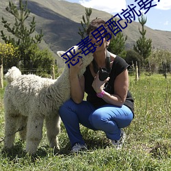 狠毒男(nán)配就要为所欲为