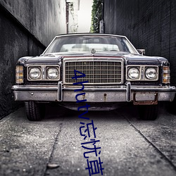 4hutv忘忧草