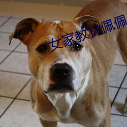 女家教林佩佩