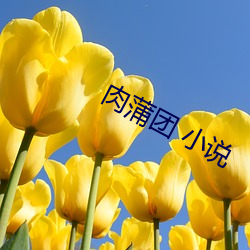 肉蒲團 小說