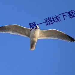 九游会登录j9入口 - 中国官方网站 | 真人游戏第一品牌