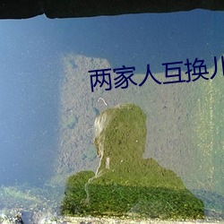 兩家人互換兒女