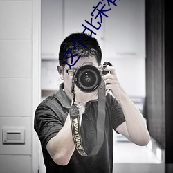 这(這)个北(北)宋有点(點)怪