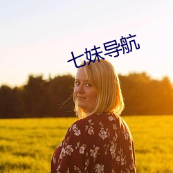 七妹导(dǎo)航