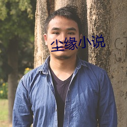 尘缘小说