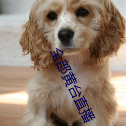 全部(bù)黄台直播