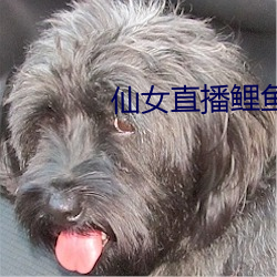 vwinӮ(й) - ٷվ