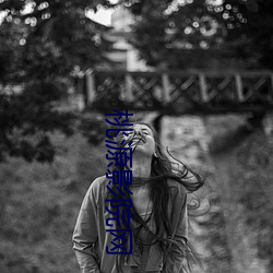 桃(táo)源影院网