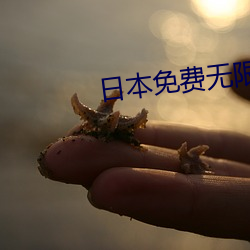 日本免(免)费无限(限)吗2020