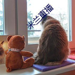 米兰直播
