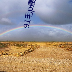 91毛p最新地域网名