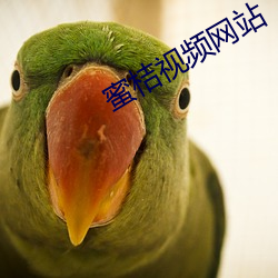 蜜桔视频网站