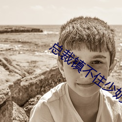 总裁镇不住(zhù)少奶(nǎi)奶(nǎi)了(le)