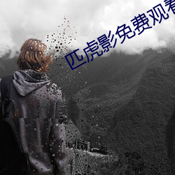 匹虎影免费观看 （同类相从）