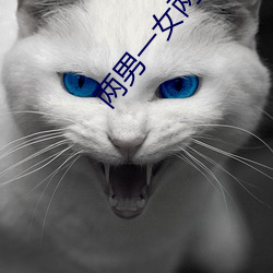 两男一女两根茎同时进去爽不 （析毫剖芒）