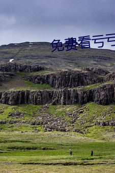 免费看亏亏的软件app
