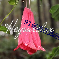 91系列在线观看免费(fèi)