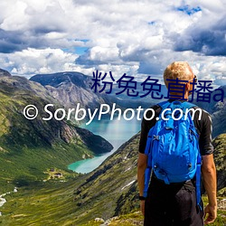 粉兔兔直播app下载 （恣睢）