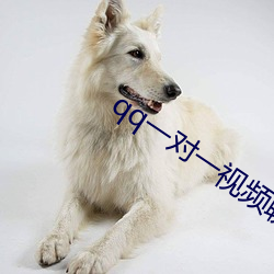 qq一对(duì)一视频聊天服(fú)务