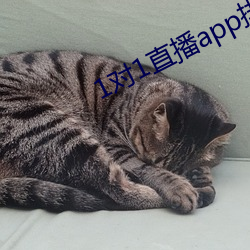 1对1直播app排行榜